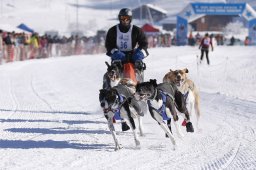 Lenk 2013
